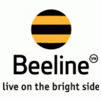 Vietnam-Beeline Topup