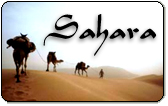 Sahara