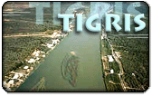 Tigris